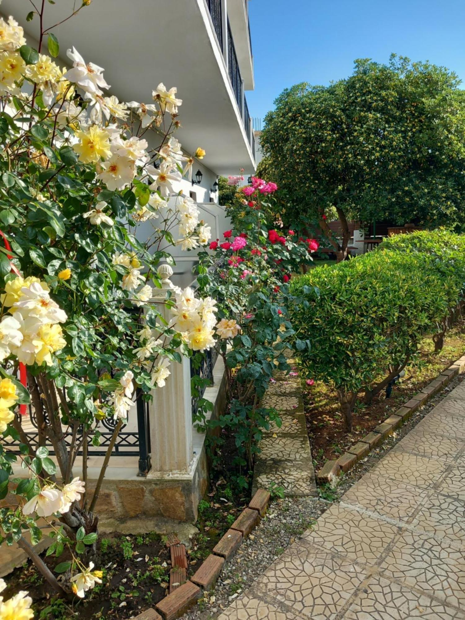 Panorama Aparthotel Agios Georgios  Exterior photo